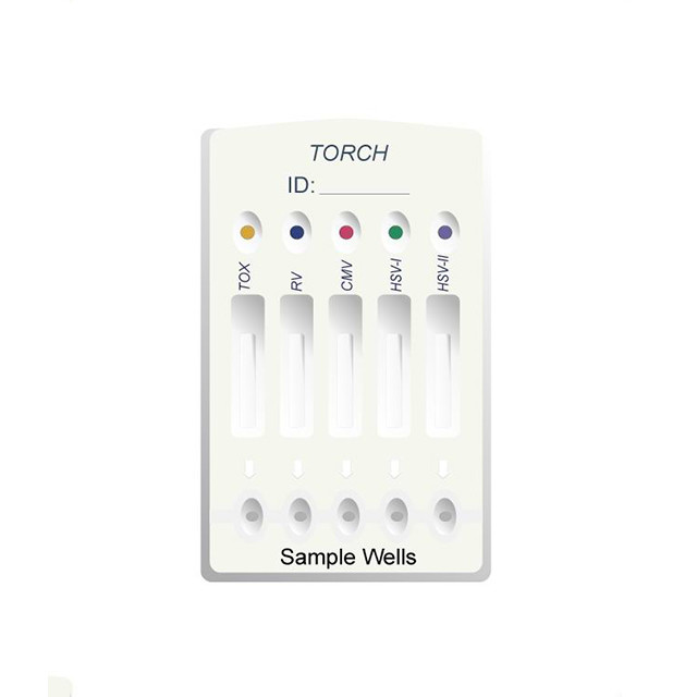 IgM Antibody Torch Rapid Test Screening Qualitative