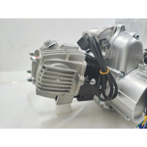 4 Stroke DAYANG Complete Motorcycle Nature 110CC Gasoline Engine Ignition Style Origin CCC