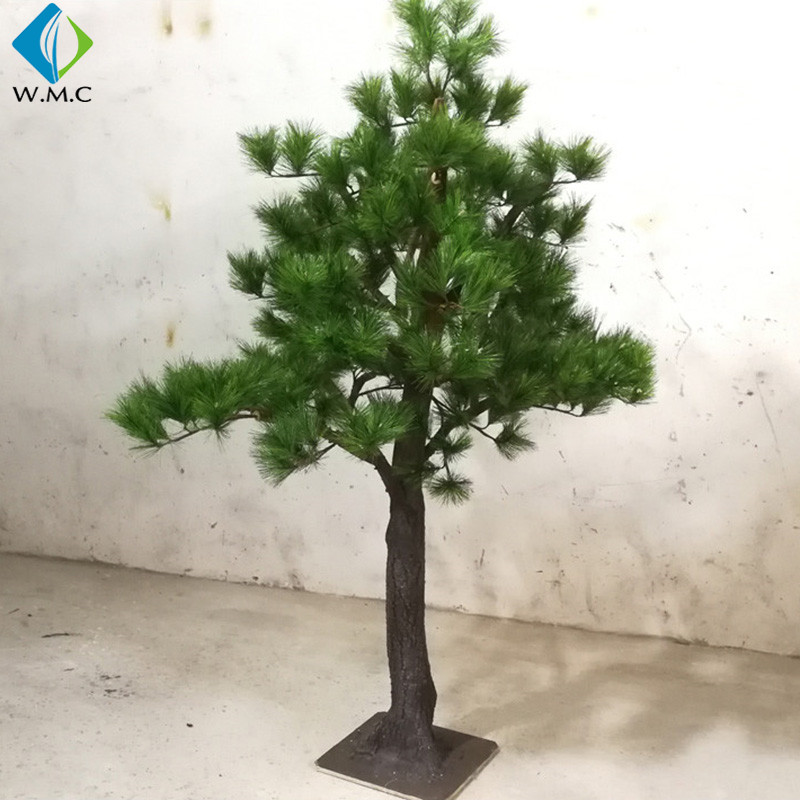 T201036 greeting pine.jpg