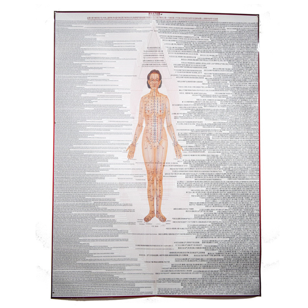 Body Meridian Acupuncture Culture Modern Acupuncture And Embedding Point