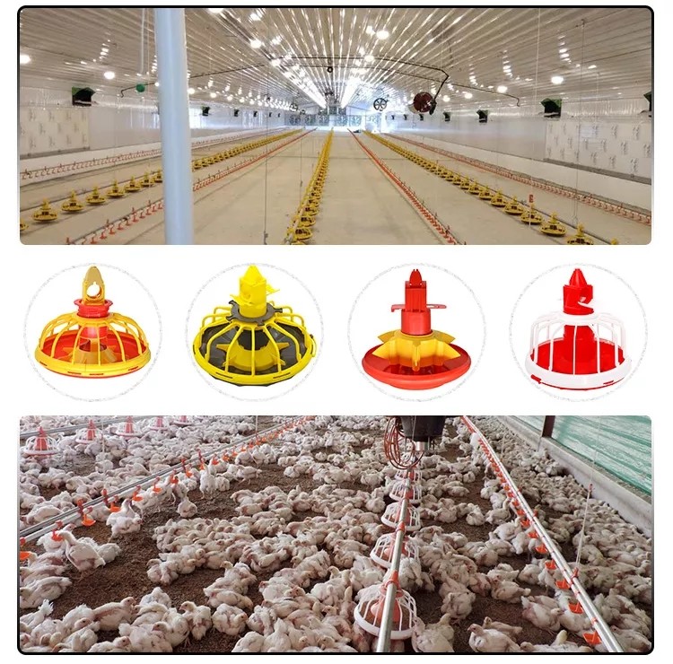 Chicken Drinking Automatic Pan Feeding System For Poultry Farming Equipment