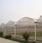 Vegetable Agricultural Tomatoes Dome Roof 7-10m Span Po Film Greenhouse