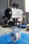 Pneumatic Bray Butterfly Valves With Switches / Solenoids & Positioners