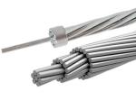 WEEVIL IEC 61089 30mm2 AAC All Aluminum Conductor
