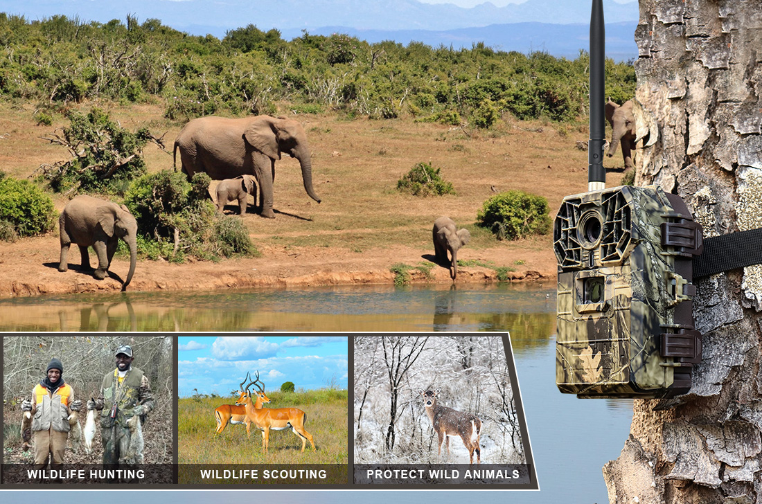 32MP 4K 1080P FHD IP66 Waterproof Trail Cam 2.0in Screen 4G Game Camera