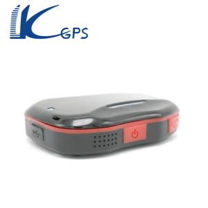 China LK800 Quad band kids gps security band watch tracker -caref watch with sos panic botton wholesale