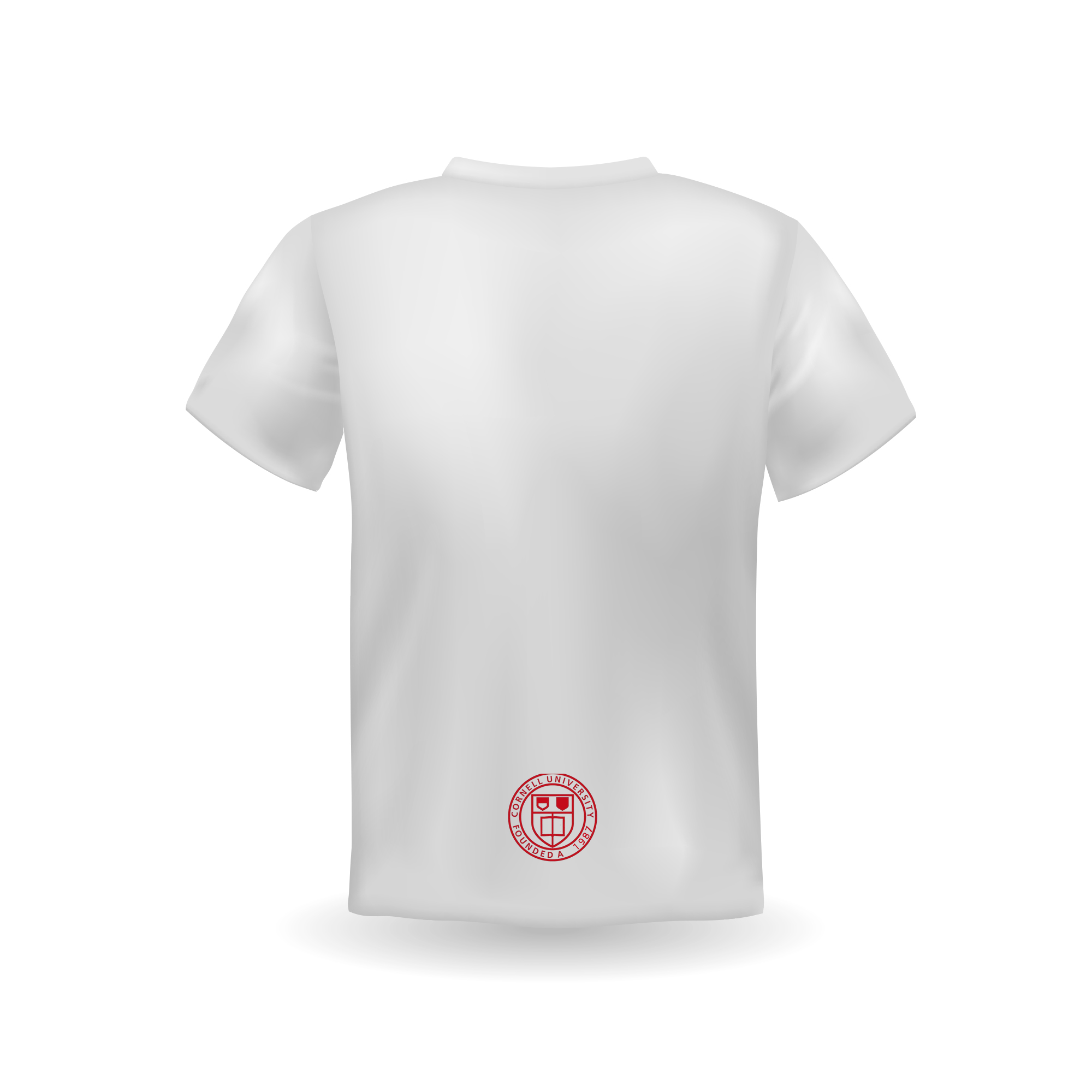 Men's Custom Logo Printing University T-Shirt with Skin-Friendly Fabric and Promotion