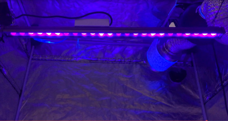 Waterproof UVBar90 60W Led Grow Light Bar For Plant Growing