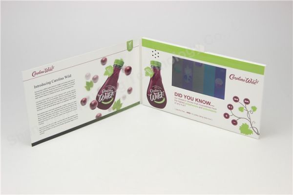 5.0 inch lcd video brochure card for marketing compaign,LCD video mailer invitation card