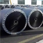 Anti Tear ST1000 Wire Rope Conveyor Belt Flame Retardant High Temperature