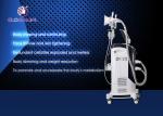 Beauty Salon Cryotherapy Machine Weight Reduction With ISO13485 Standard