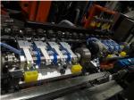 6000BPH Stretch Blow Molding Machine