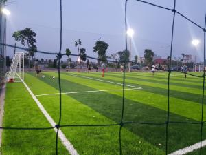 China Chinese 55mm Artificial Grass Football Games Football Artificial Grass wholesale
