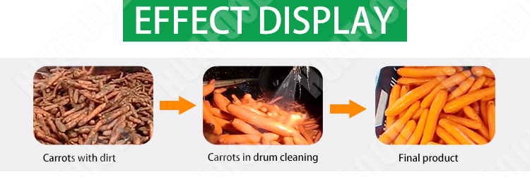 Navel Orange Screening Equipment Pine Sorting Machine Peach Grading Machine