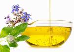Original Flavor Healthy Edible Oil Cold Pressed Borage Oil Quick Delivery