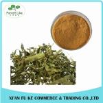 Natural Persimmon Leaf Extract Powder 10:1 20:1