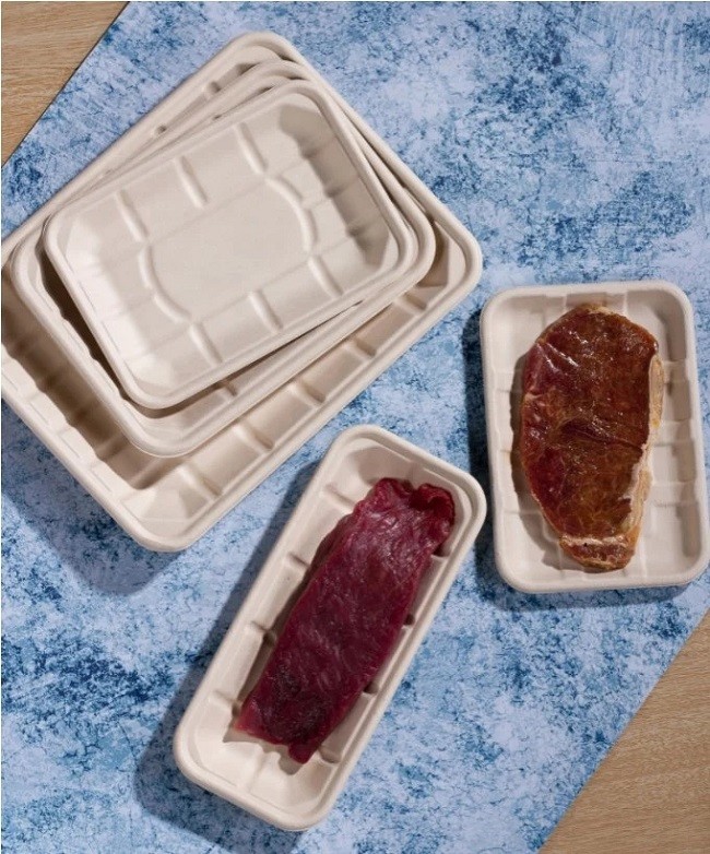 200ml Bagasse Meat Fruit Paper Compostable Meat Trays Sustainable Disposable