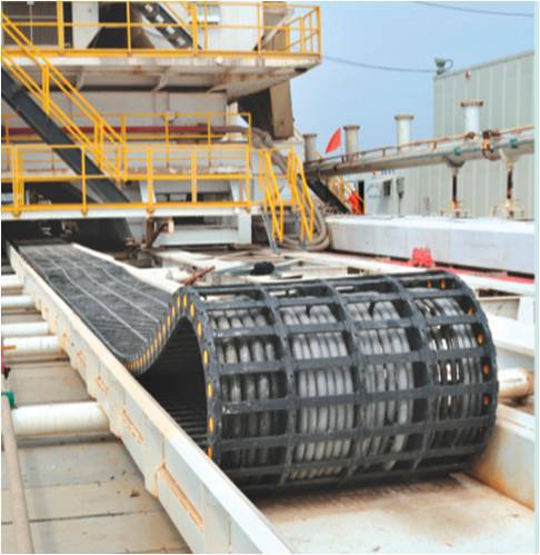 Nucleon Brand NLH Model 10 ton Overhead Crane Double Crane Hook