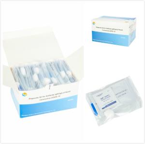 China Infectious Disease Rapid IgM IgG Virus Test Kits wholesale
