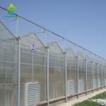 Multispan PC Sheet Greenhouse