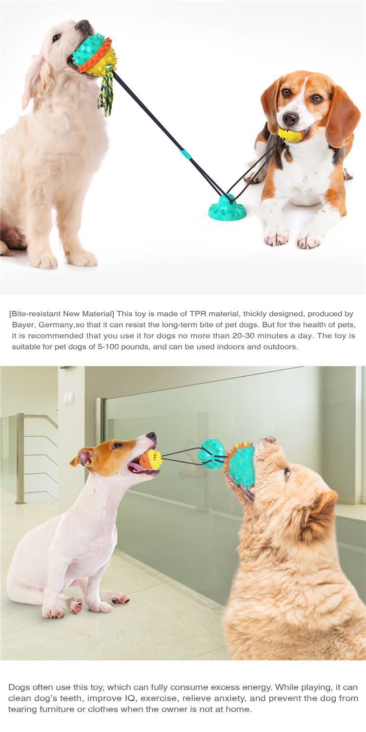 Powerful Double Sucker Dog Toy Molar Dog Supplies Bite Resistant Ball