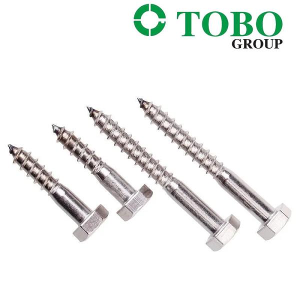 Fastener SS DIN571 304 / 316 Stainless Steel Hexagon Head Wood Screws Hex Lag