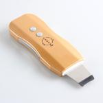 Micro Current Ultrasonic Skin Scrubber ABS And Stainless Steel Material