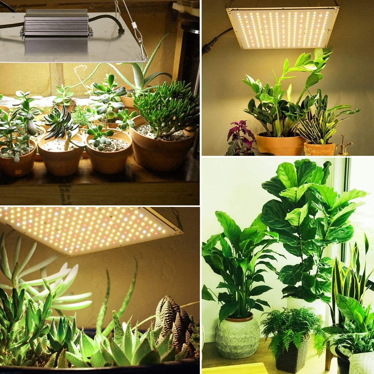 UV LED Grow Lights 120W IP66 Waterproof 6500k Samsung 301h ETL CE Listed Full Spectrum Quant