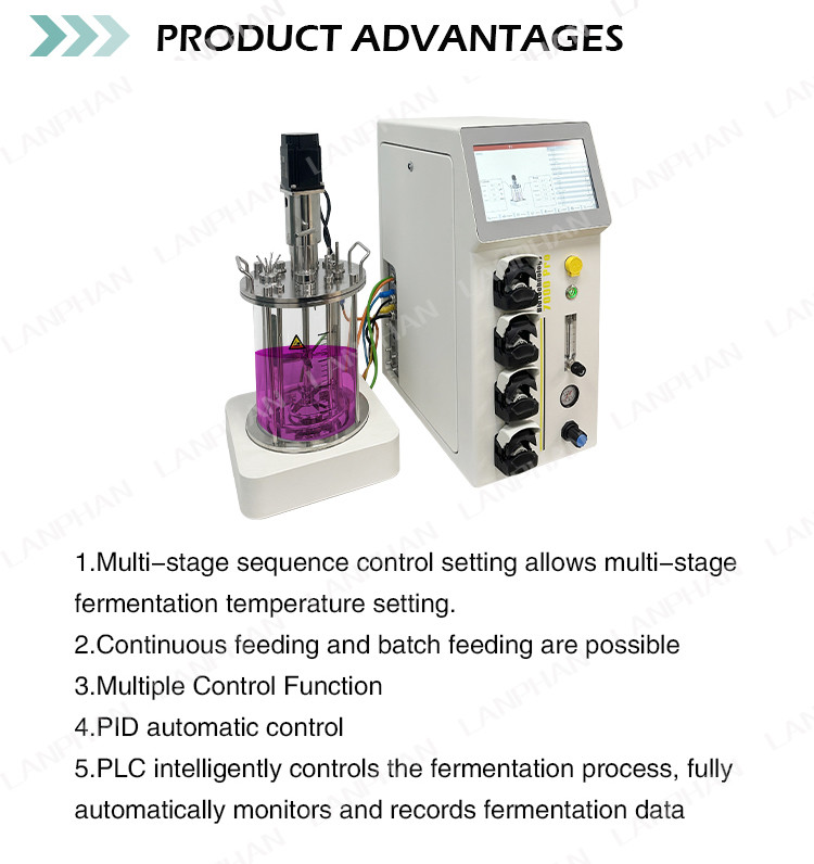Lab Glass vaccine Fermentation Bioreactor fed batch Benchtop Stirred Tank Bioreactor