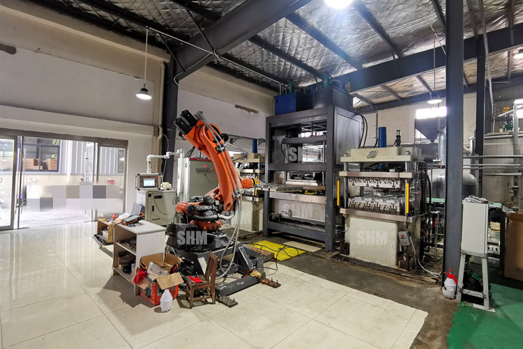Trays Bagasse Pulp Molding Machine Manufacturers Automated