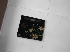 China LCD display tempered glass Travel Weighing Scales wholesale
