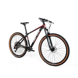 China TWITTER Aluminum Alloy Mountain Bike Mantis2.0 RETROSPEC Groupset 13S wholesale
