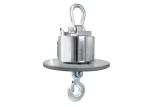 Stainless Steel 30T Wireless Digital OCS Crane Scale