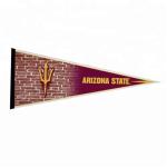 Swil Sports Club Polyester Felt Triangle Banner Digital Printing
