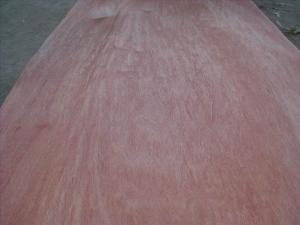 China Rotary Cut/Peeled Bintangor Wood Veneer Sheet wholesale