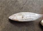 2.7kg 2.9kg Healthy Frozen Skipjack Tuna For Restaurant