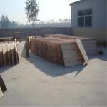 Solid Wood Panel Paulownia Wood m3 at Qingfa After-sale Service Onsite