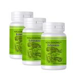 Echinacea Supplements Daily Health Brain Food Supplements Wound Healing