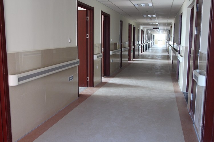 AFSJ-80mm PVC Hospital Hallway Handrail Extrusion Machine, CE Certificate