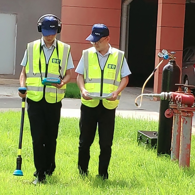 3 In 1 Underground Pipe Leak Detection PQ BT MultiFunction Water And Gas Leak Detection