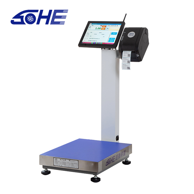 precision Multi Weighing Mode Intelligent Pc Weighing Scale with LED LCD Display Type