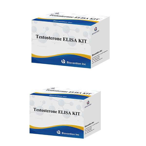 Male Sex Hormone Testosterone Hormone ( Quantitative ) Elisa Test Kit For Diagnose