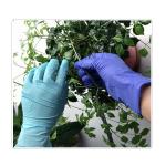 Powder Free Food Industry Electronics Nitrile Utility Work Gloves