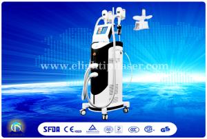 China 3 in 1 Cavitation Cryolipolysis Equipment Vertical for Fat Reduction wholesale