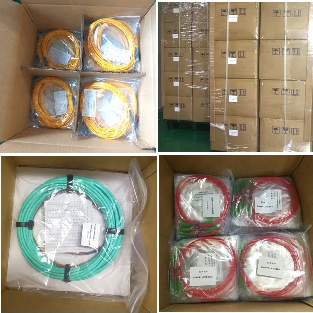 2.0mm 24 Fibers LC SC FC ST OM1 OM2 Fiber Optic Pigtail