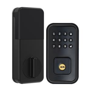 China Biometric Smart Security Magnetic Electric Lock Fingerprint Smart Door Lock wholesale