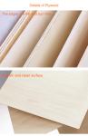 Plywood modern melamine paper interior Birch first-class E0