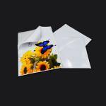 Self Adhesive 297x420mm 150gsm Glossy Sticker Photo Paper