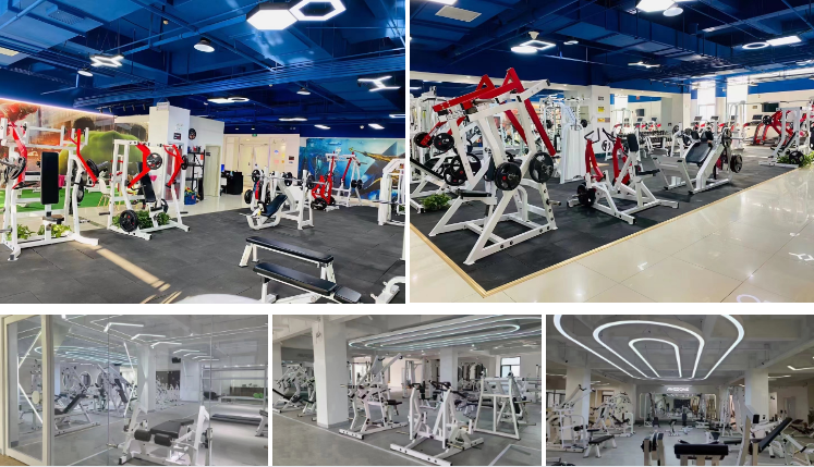 Spinning Bike Commercial Gym Equipment Cardio Training Indoor Exercise Bikes