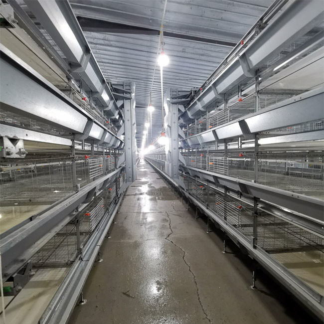 275g / ㎡ H Type Broiler Chicken Cage Hot Dipped Galvanized 2mm 4 Leves